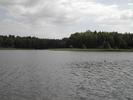 The lake is surrounded by pretty woods