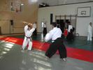 Nakagawa sensei and Nicha do the %22first jo kata against bokken%22 exercise